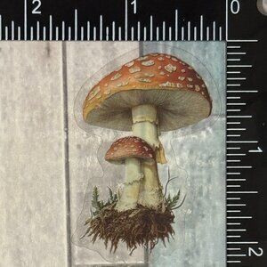 🌀10/$10🌀 Translucent Retro Mushroom Fairy Tale Reusable Waterproof Sticker Dec